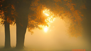 Herbstbilder aus dem AI Generator